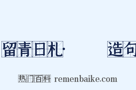 留青日札·叆叇造句是什么意思的图片